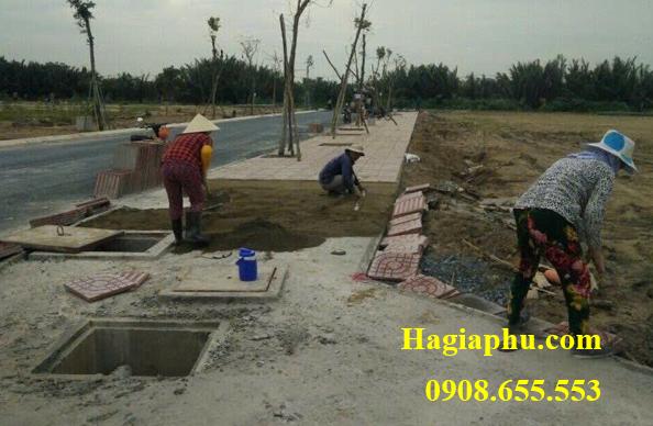 cán phẳng bề mặt để lát gạch terrazzo